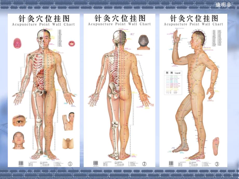 腧穴与“疾病反应点”_第4页