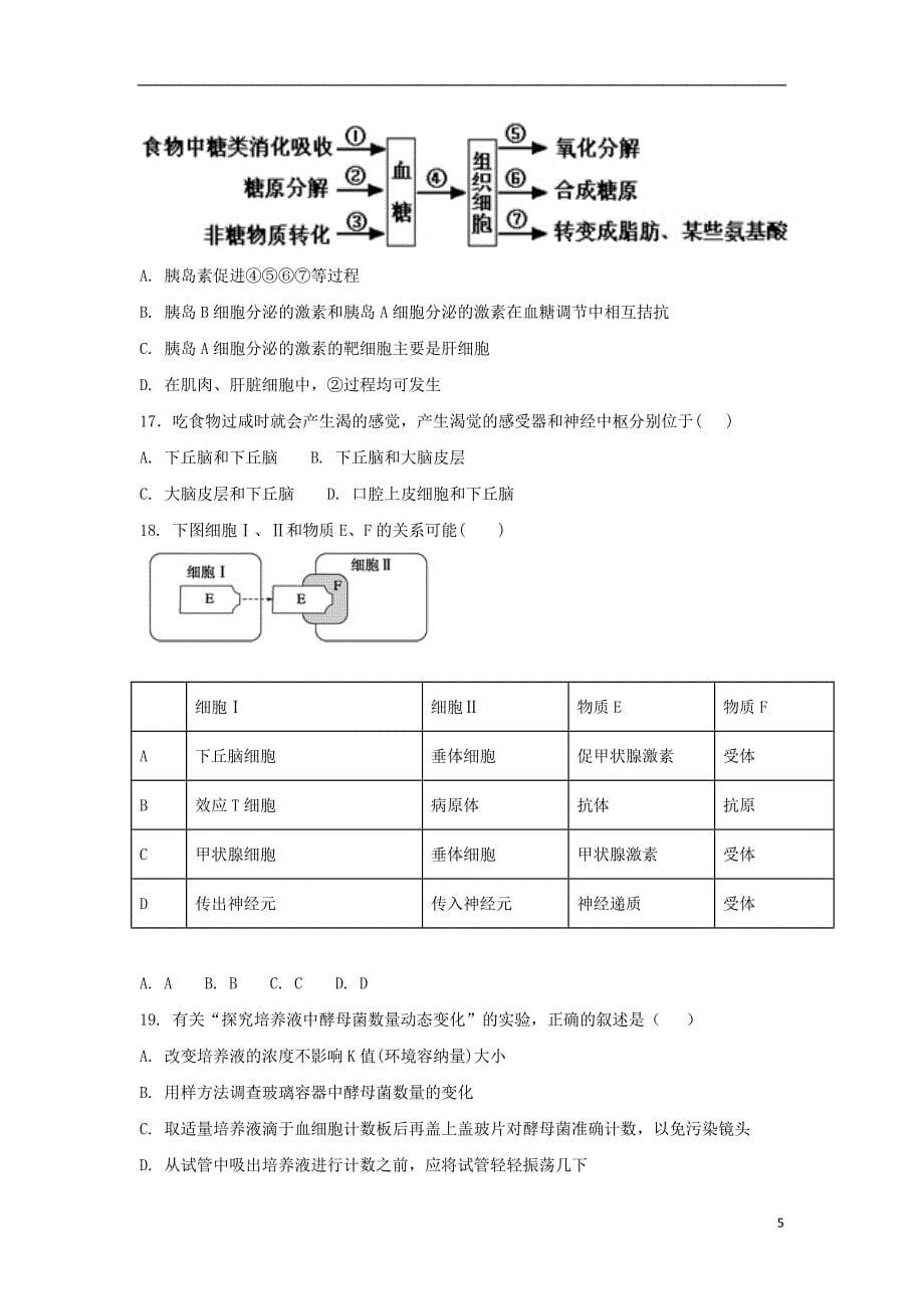 福建省晋江市（安溪一中、、惠安一中、泉州实验中学四校）2020年高一生物下学期期末联考试题_9925_第5页