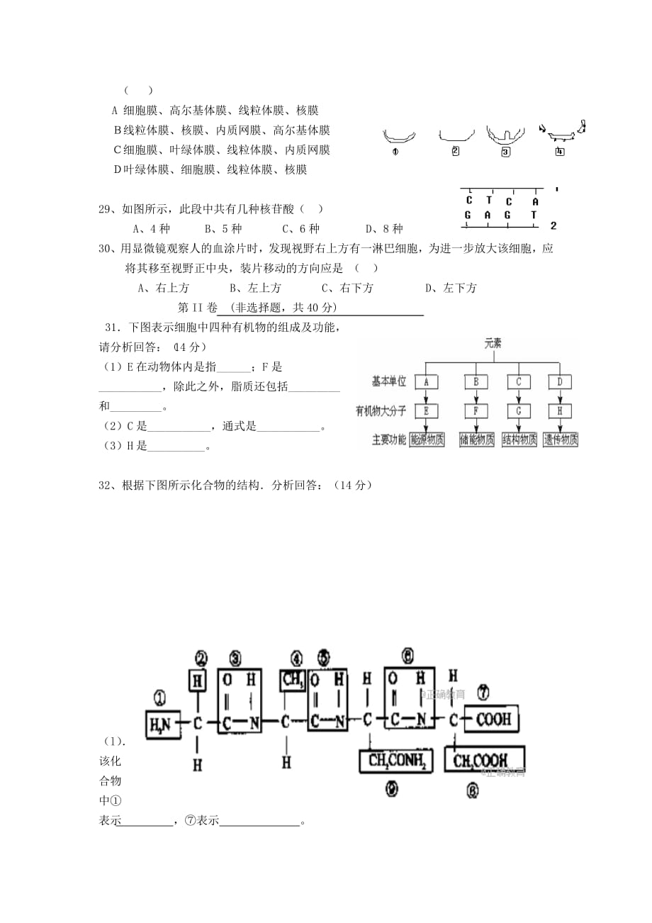 广东省韶关市2020年高一生物上学期期中试题_第4页