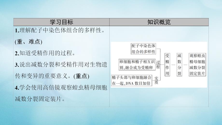 2019学年高中生物 第二章 基因和染色体的关系 第1节 减数分裂和受精作用（Ⅱ）课件 新人教版必修2教学资料_第2页