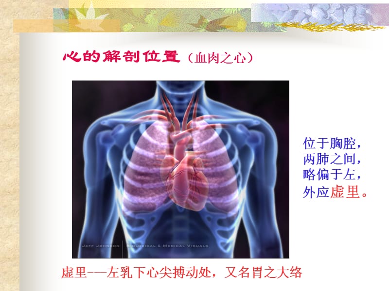 3.3第三章：第二节-五脏-心_第3页