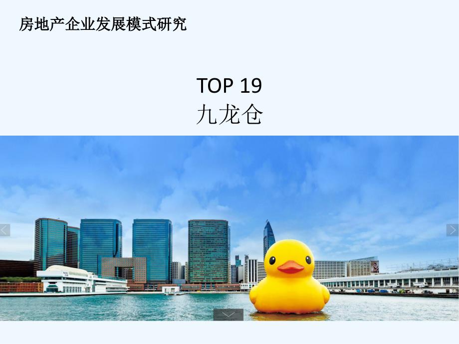 九龙仓房地产发展研究top_第1页