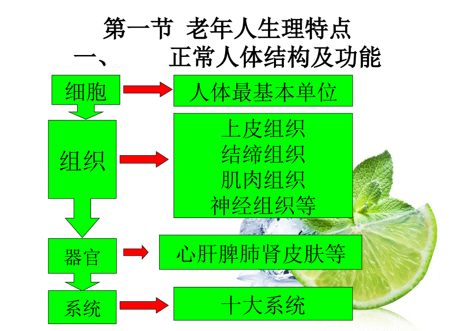 第三章：养老护理员培训老年人护理基础知识_第4页