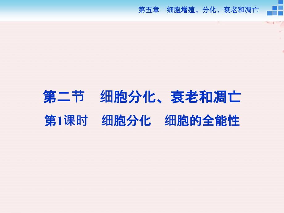 2019学年高中生物 第五章 细胞增殖、分化、衰老和凋亡 第二节 细胞分化、衰老和凋亡 第1讲 细胞分化　细胞的全能性课件 苏教版必修1教学资料_第1页