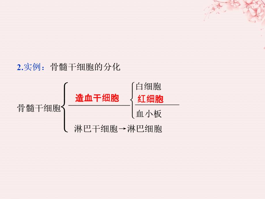 2019学年高中生物 第五章 细胞增殖、分化、衰老和凋亡 第二节 细胞分化、衰老和凋亡 第1讲 细胞分化　细胞的全能性课件 苏教版必修1教学资料_第4页