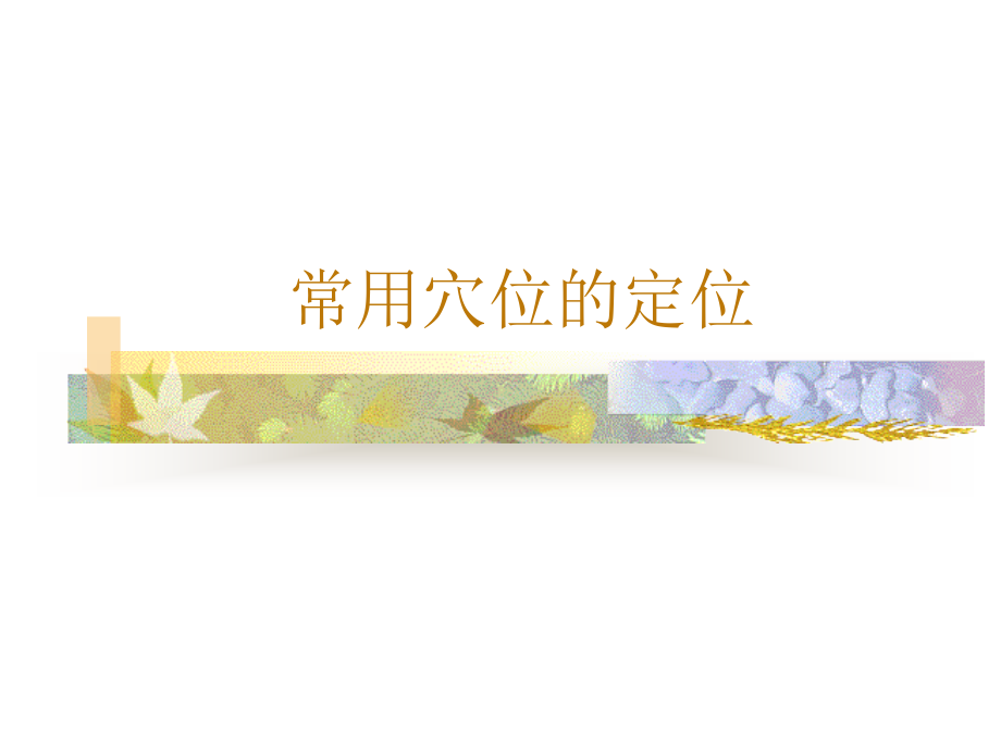 第七章+第四节+常用腧穴_第1页