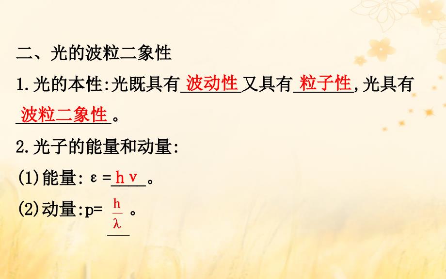 2019学年高中物理 第四章 波粒二象性 4.3 光的波粒二象性课件 教科版选修3-5教学资料_第4页