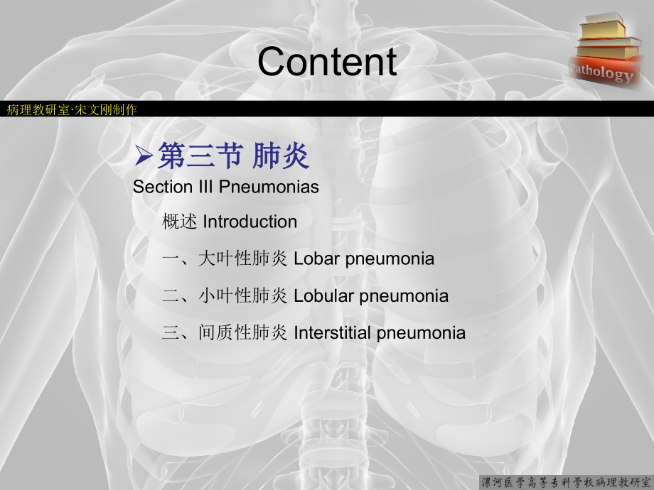 病理学 第六章呼吸系统疾病 II_第4页
