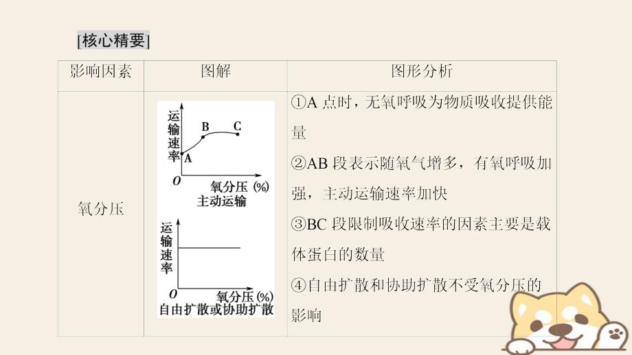 2019学年高中生物 第四章 细胞的物质输入和输出 微专题突破1 外界因素对物质跨膜运输影响的曲线分析课件 新人教版必修1教学资料_第2页