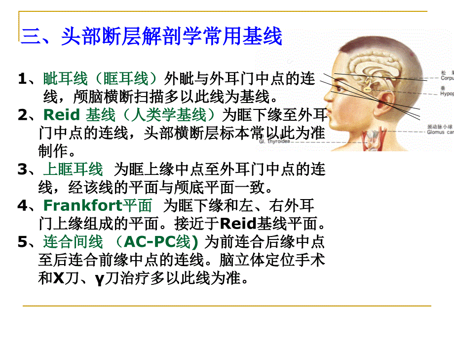 第一节概述第二节脑及其被膜脑_第4页
