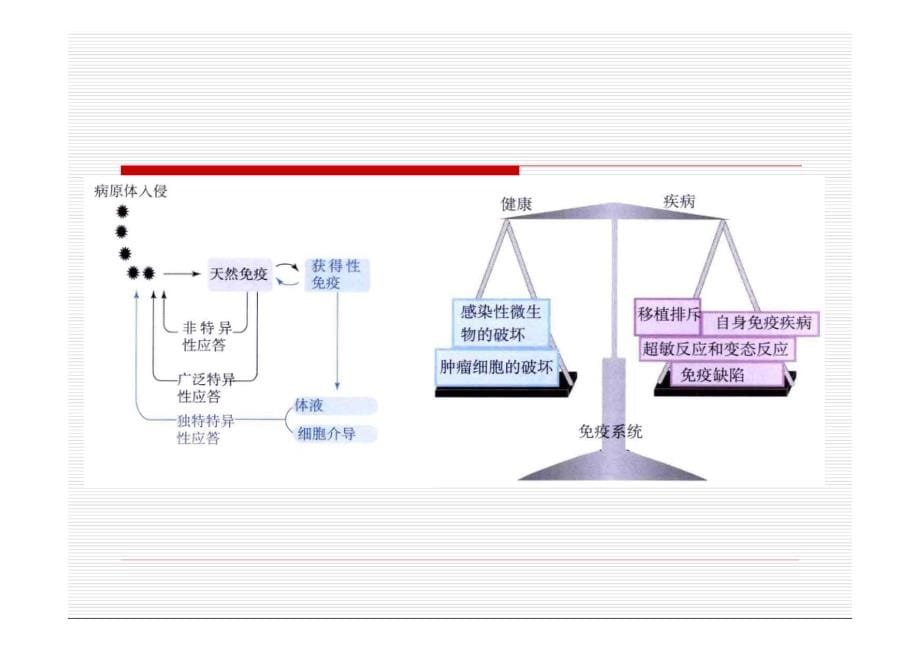 徐元宏感染性疾病早期实验室诊断_第5页