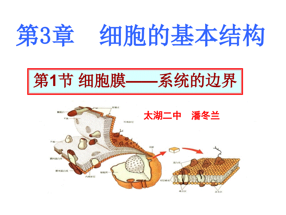 细胞膜_系统的边界课件_第1页