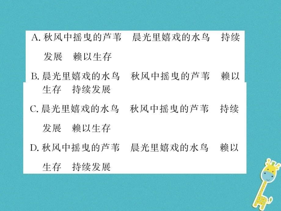 2019年初一语文上册 专题四习题课件 新人教版教学资料_第5页