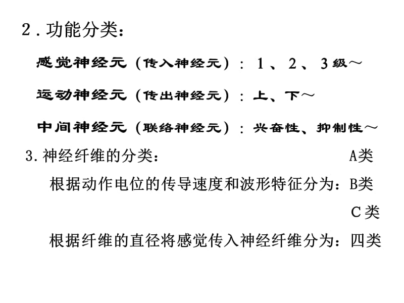 人体及动物生理学第六章 神经系统_第4页