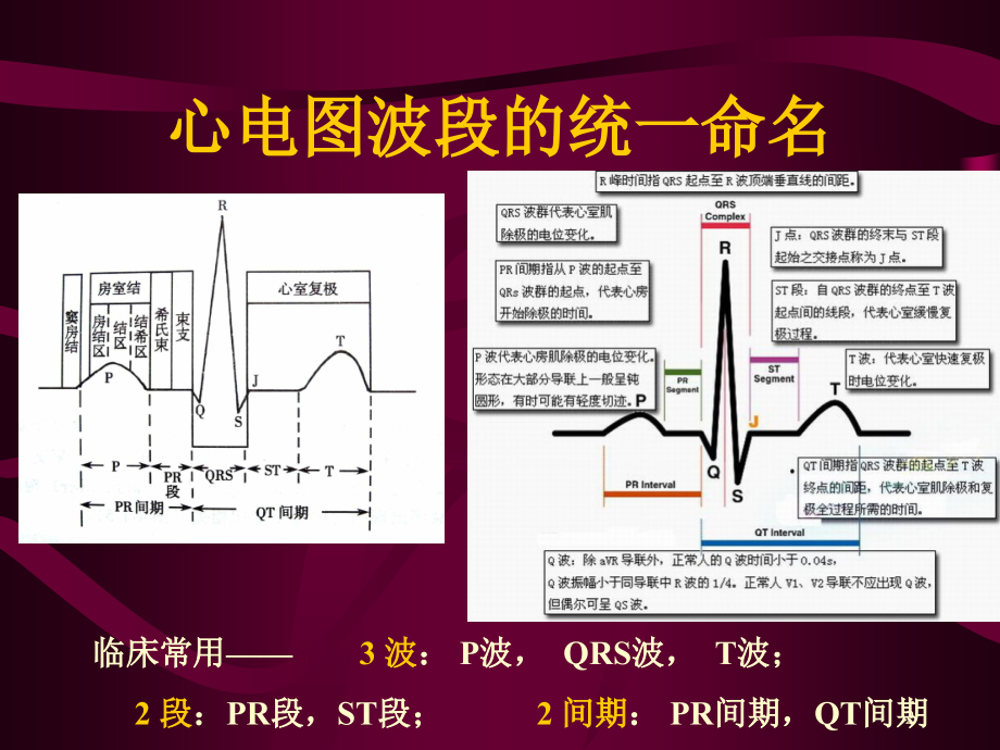 心电图 心电向量与心肌缺血_第1页