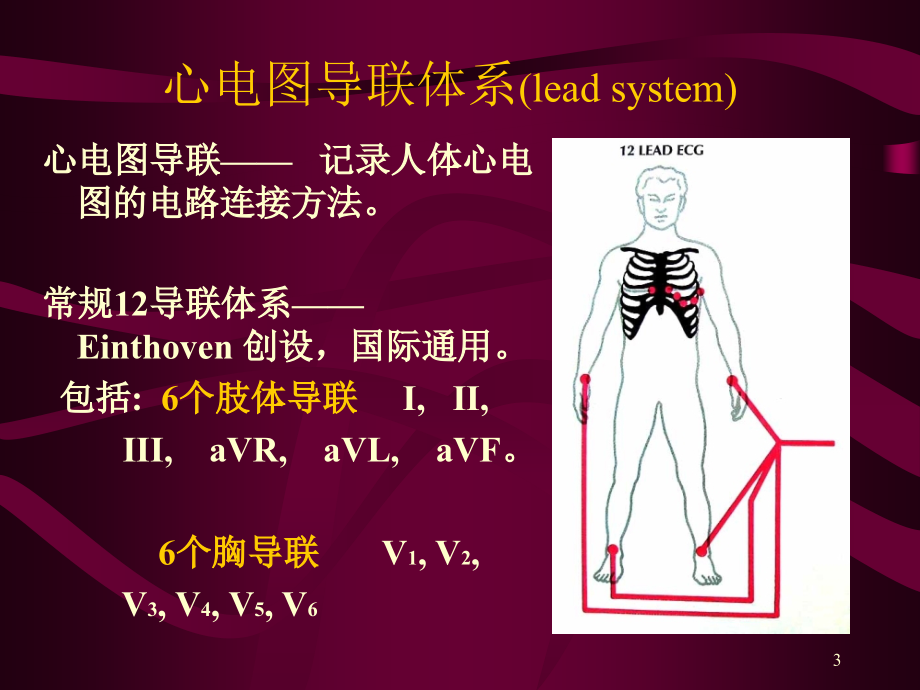 心电图 心电向量与心肌缺血_第2页