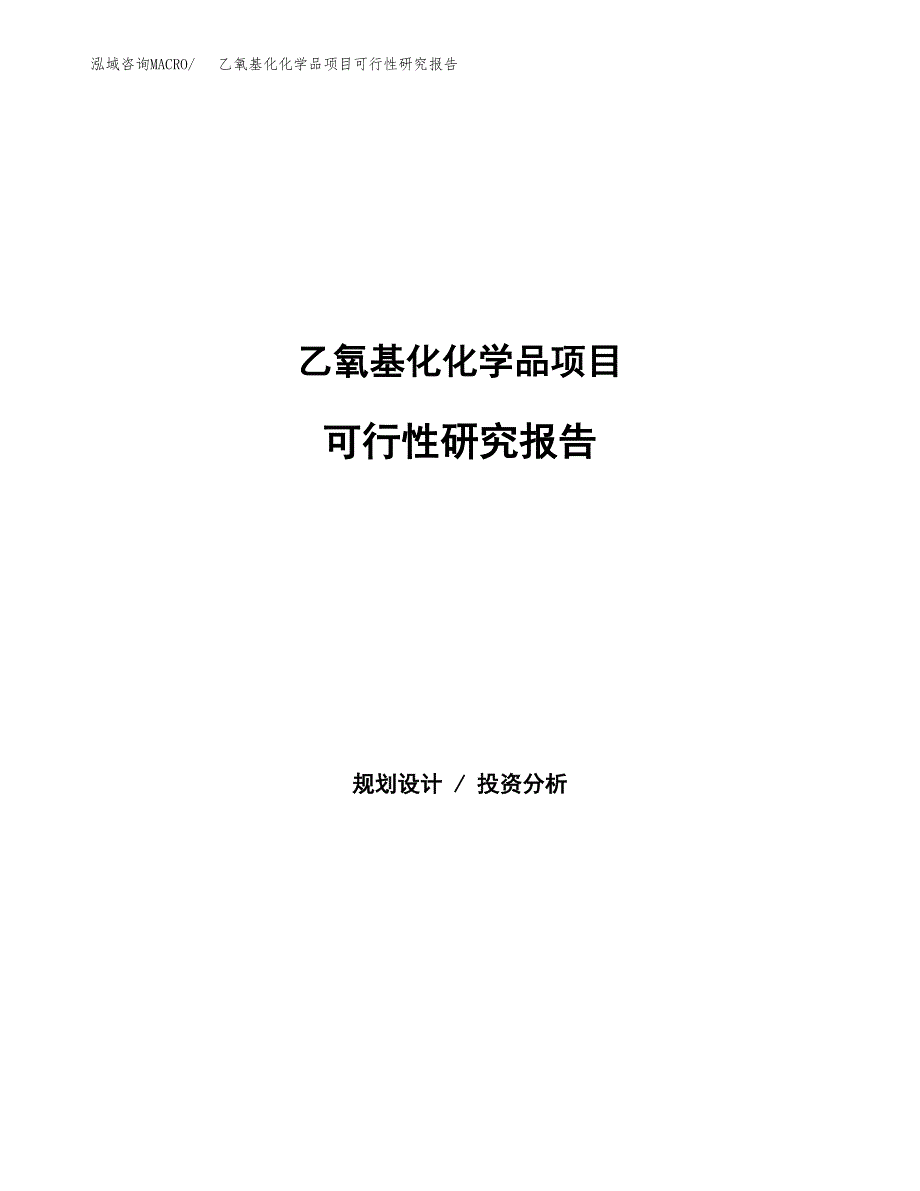 乙氧基化化学品项目可行性研究报告模板及范文.docx_第1页