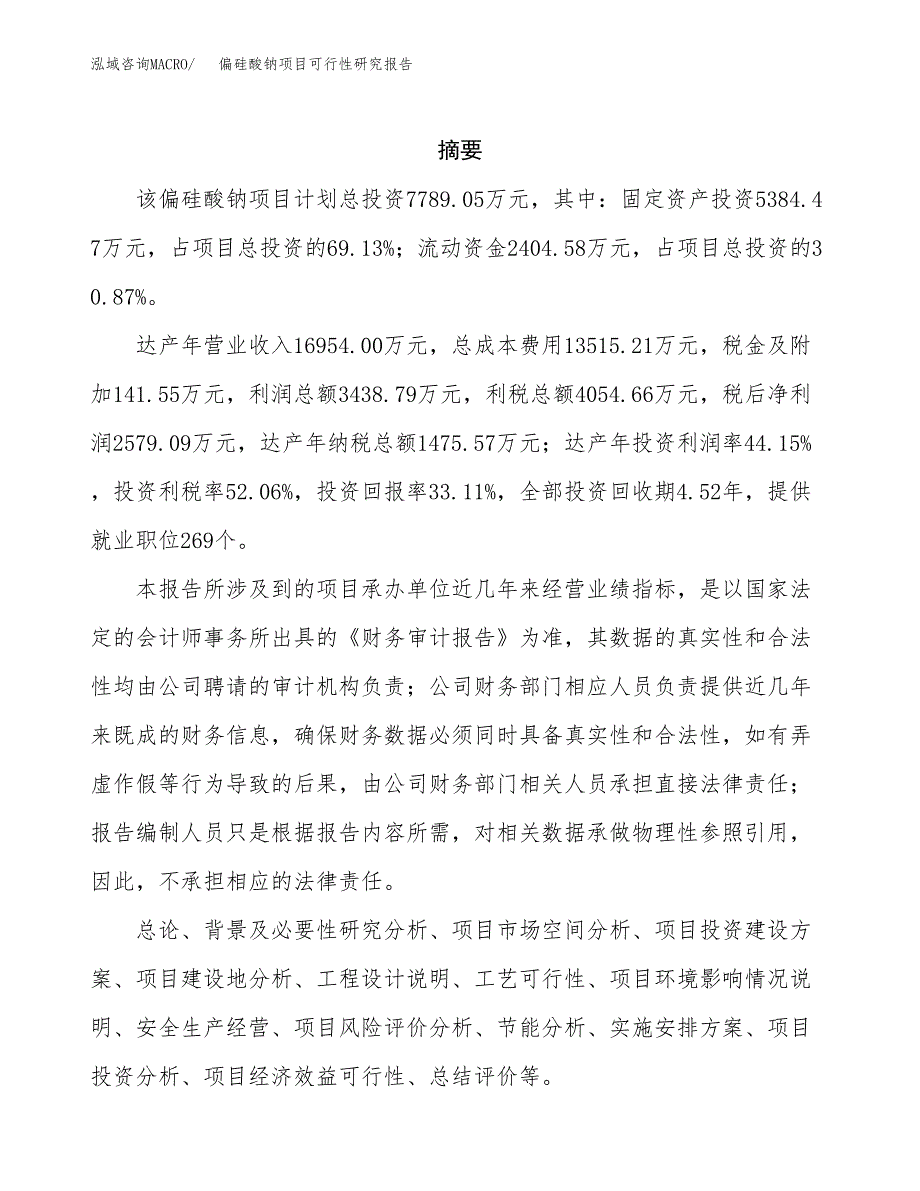 偏硅酸钠项目可行性研究报告模板及范文.docx_第2页