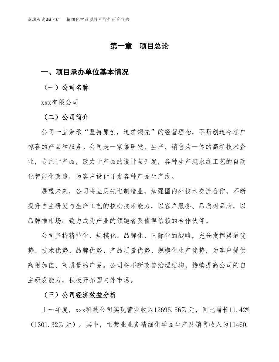 精细化学品项目可行性研究报告模板及范文.docx_第5页