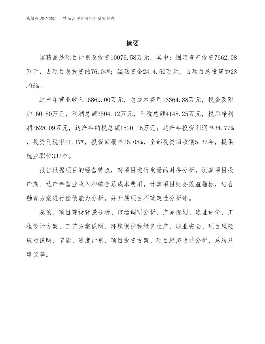 精品沙项目可行性研究报告模板及范文.docx_第2页