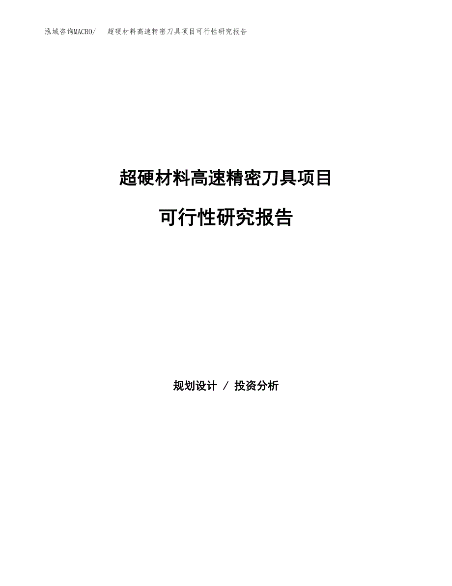 新型便道砖项目可行性研究报告模板及范文.docx_第1页