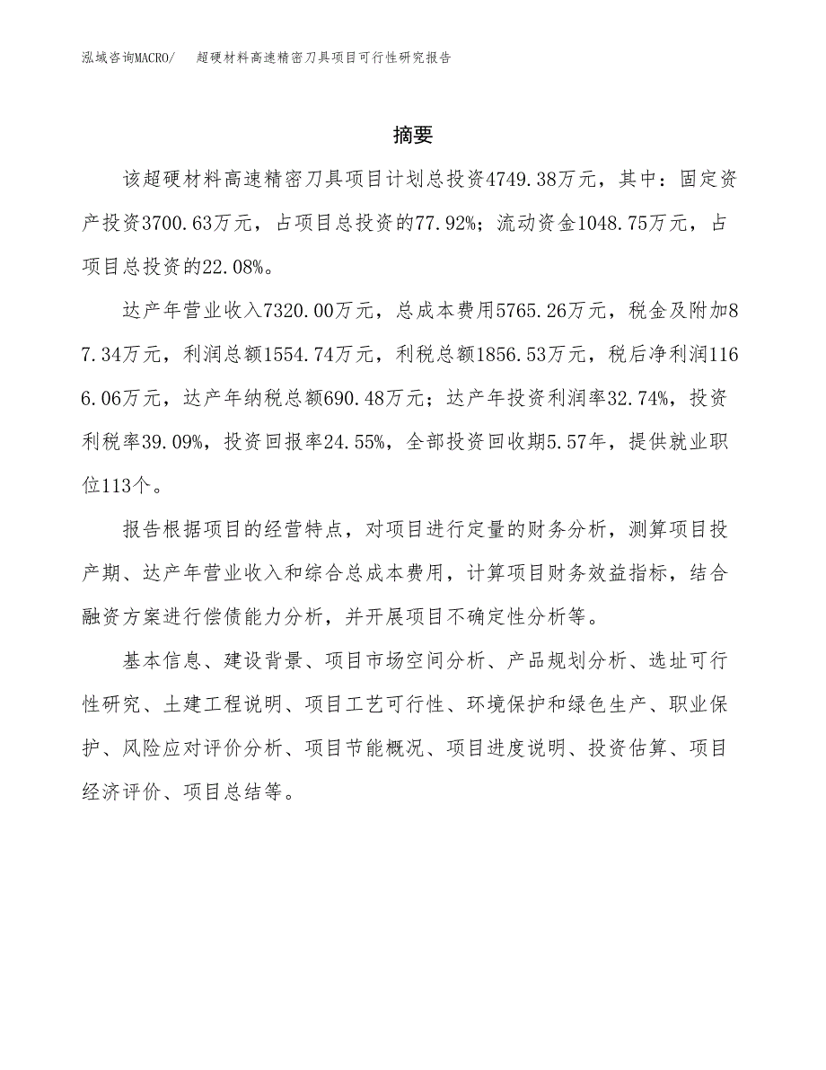 新型便道砖项目可行性研究报告模板及范文.docx_第2页