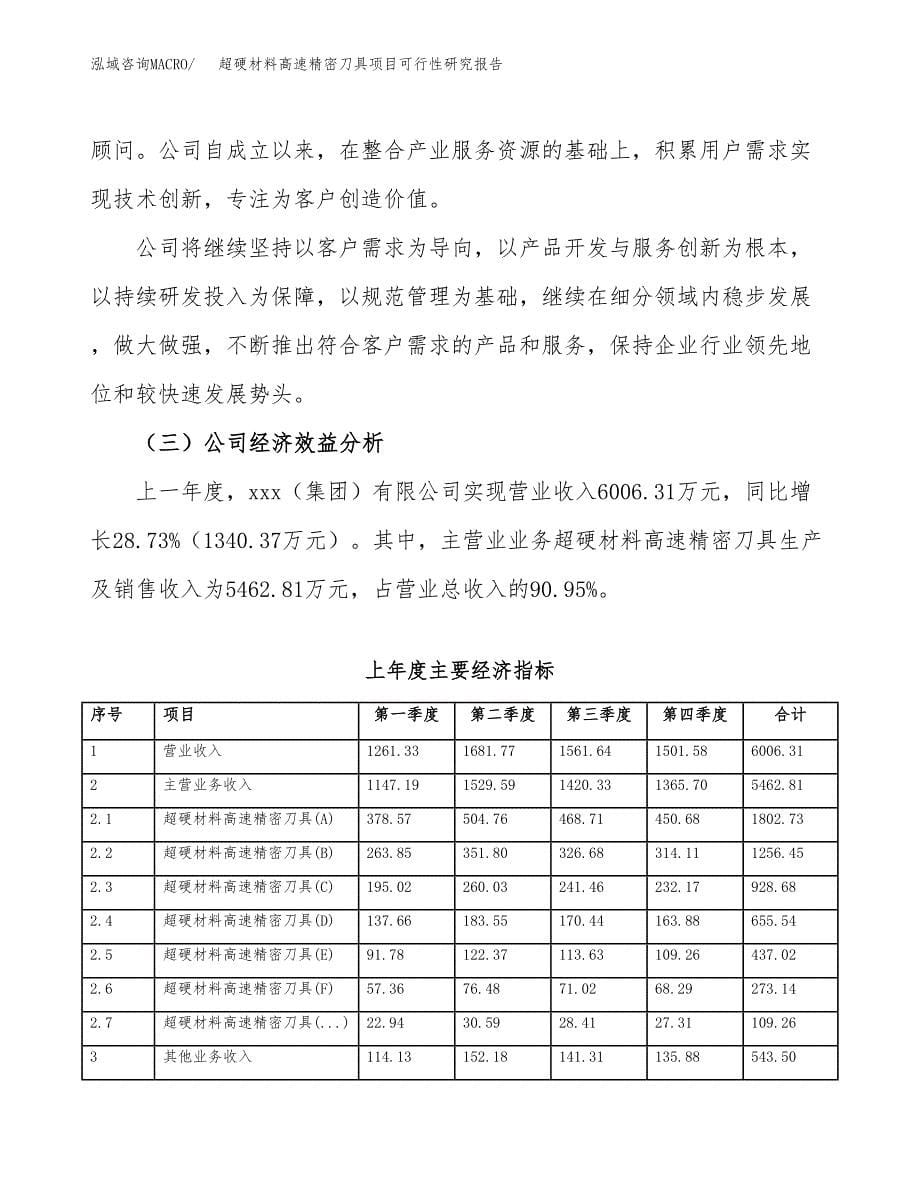 新型便道砖项目可行性研究报告模板及范文.docx_第5页