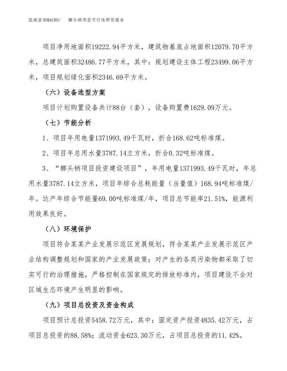 榔头柄项目可行性研究报告(立项及备案申请).docx_第2页