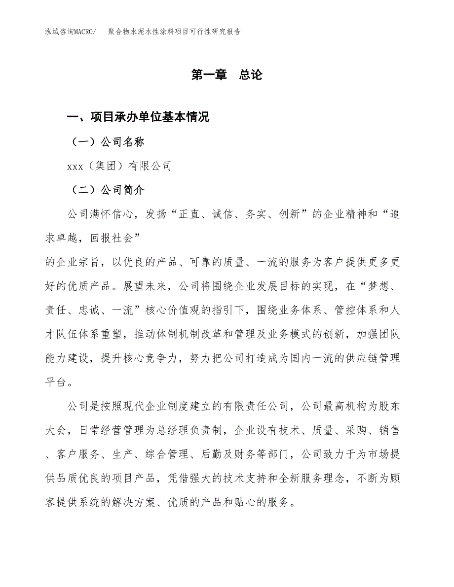 聚合物水泥水性涂料项目可行性研究报告模板及范文.docx_第4页