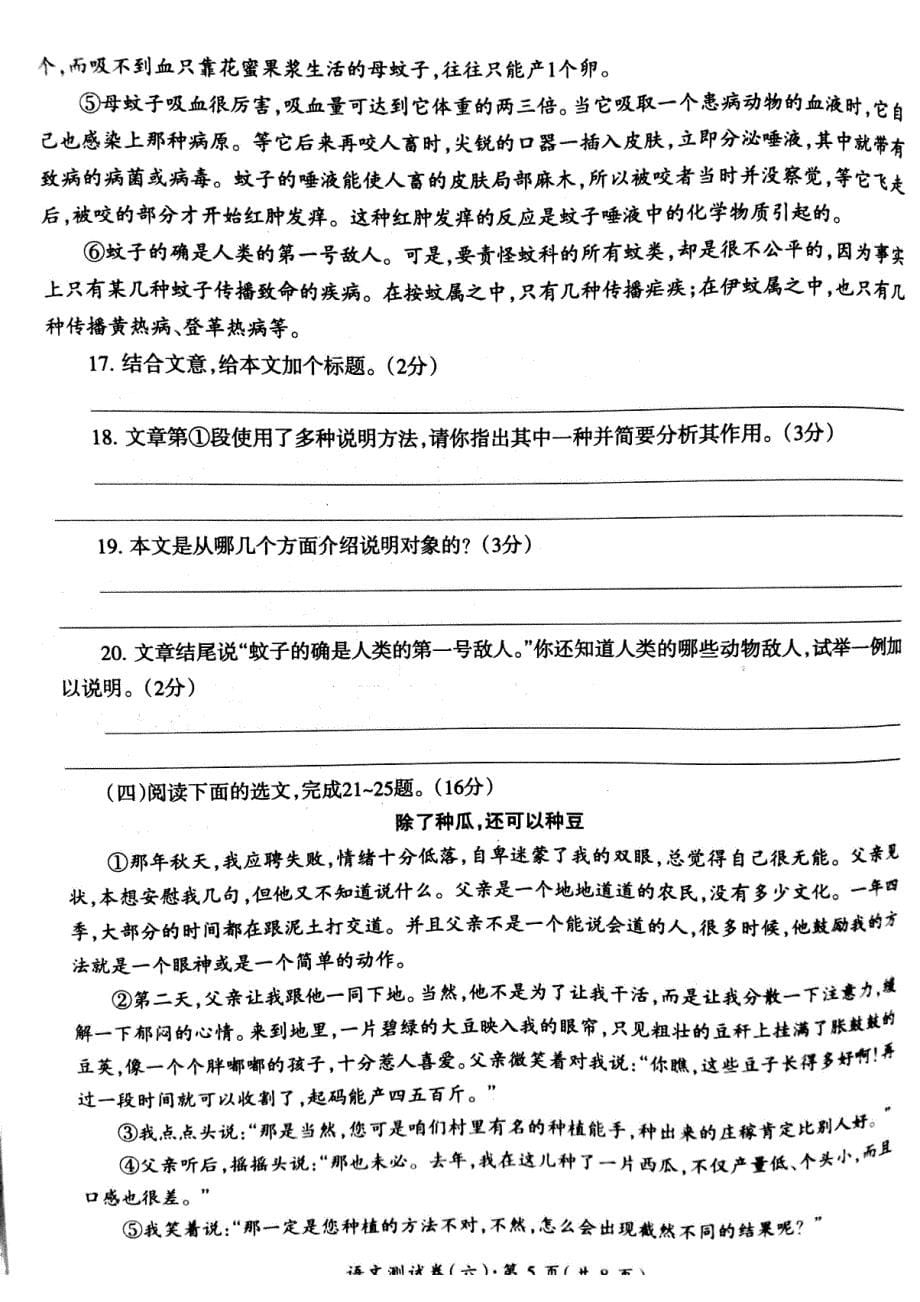 【课程教材教学研究】云南省2016年初中学业水平考试语文测试卷(六)(PDF版).pdf_第5页