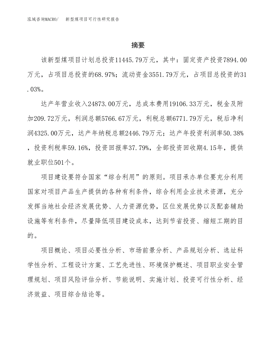 新型煤项目可行性研究报告模板及范文.docx_第2页