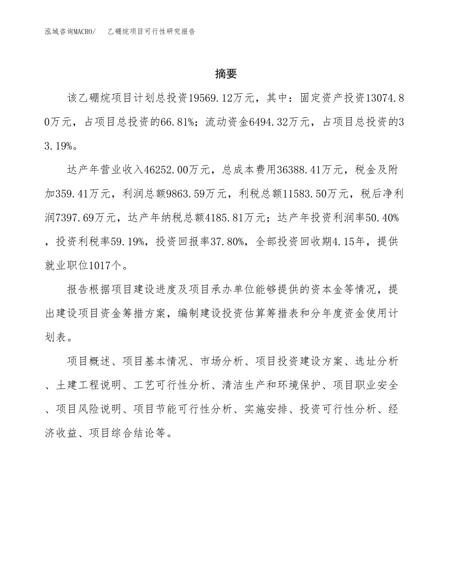 乙硼烷项目可行性研究报告模板及范文.docx_第2页