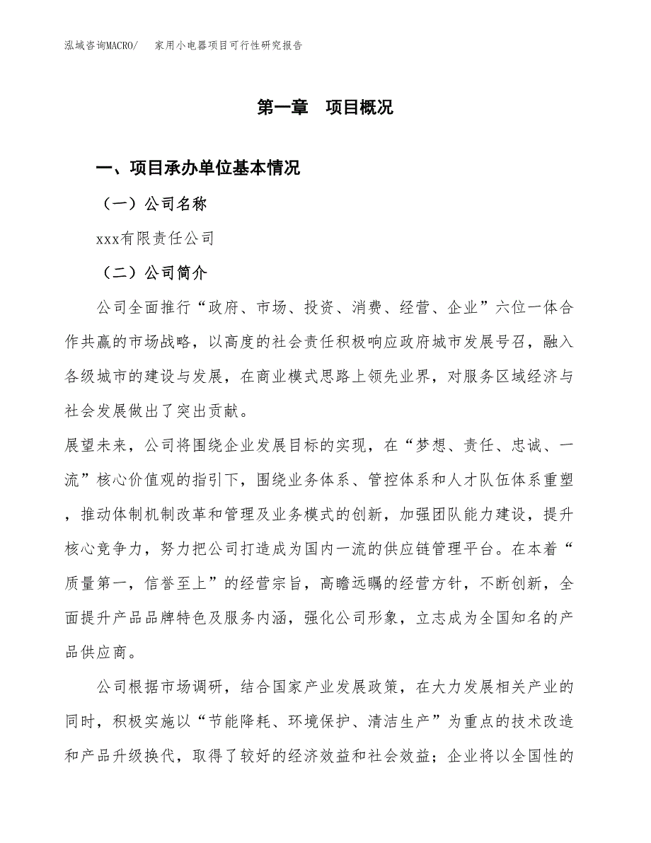 家用小电器项目可行性研究报告模板及范文.docx_第4页