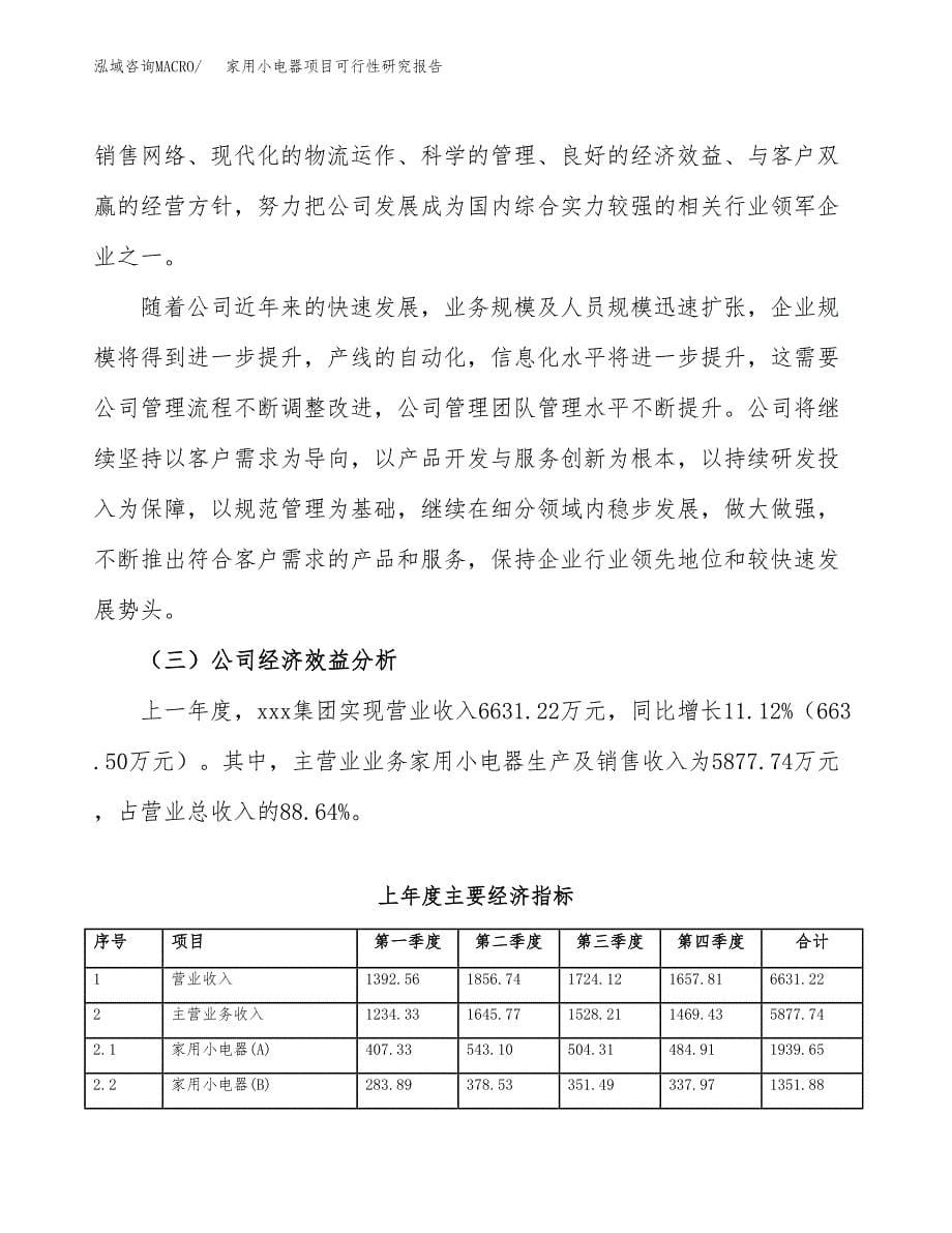 家用小电器项目可行性研究报告模板及范文.docx_第5页