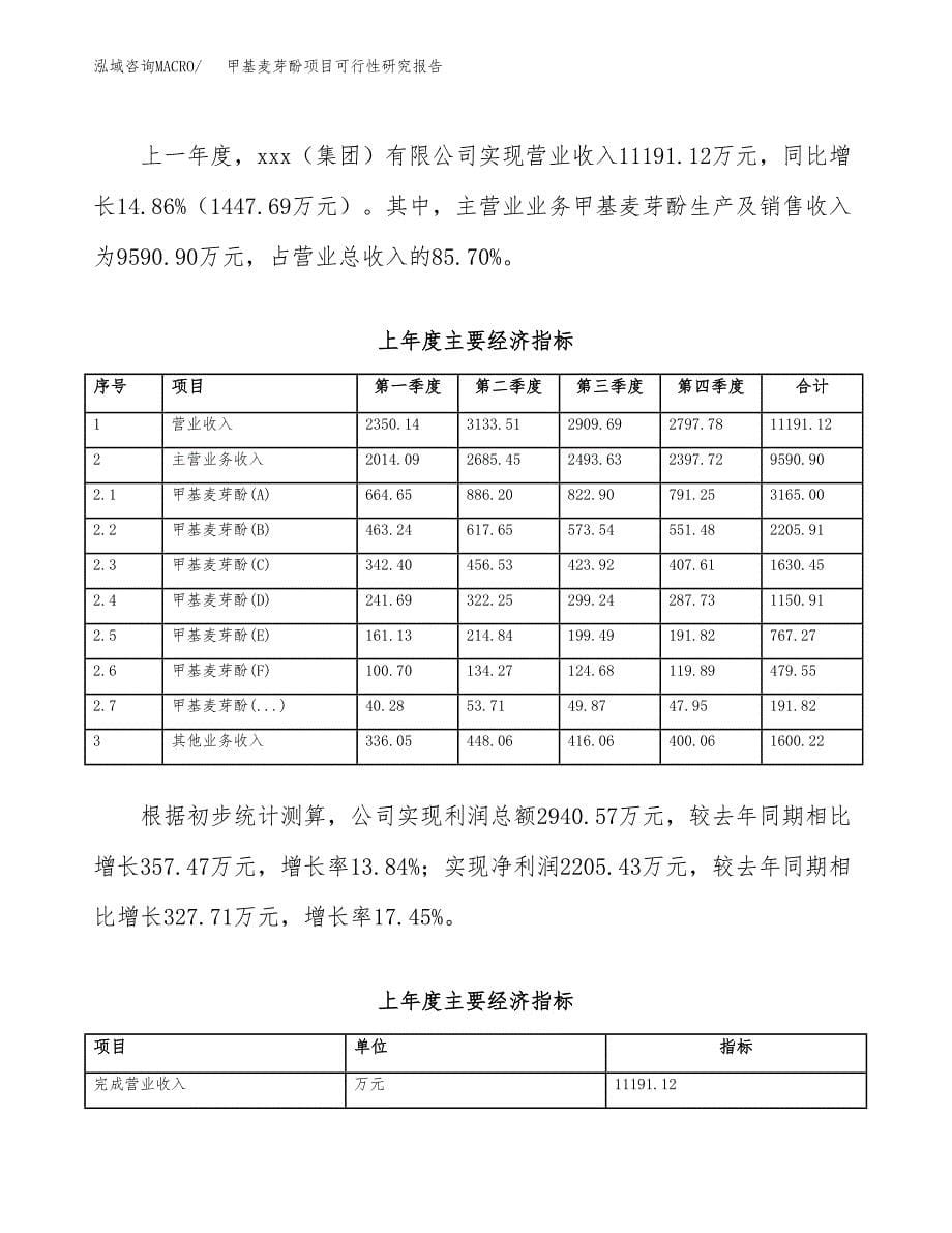 甲基麦芽酚项目可行性研究报告模板及范文.docx_第5页