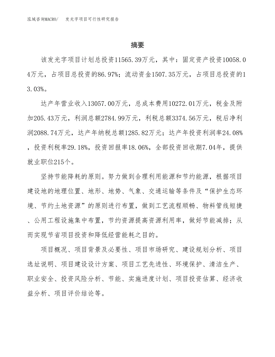 发光字项目可行性研究报告模板及范文.docx_第2页