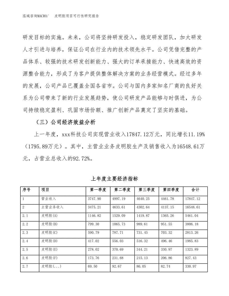 皮明胶项目可行性研究报告模板及范文.docx_第5页