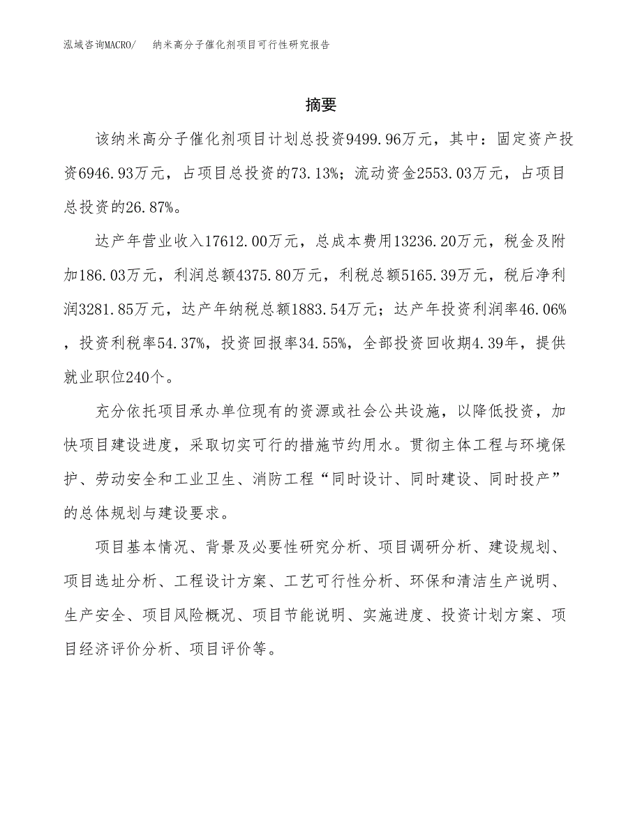 纳米高分子催化剂项目可行性研究报告模板及范文.docx_第2页