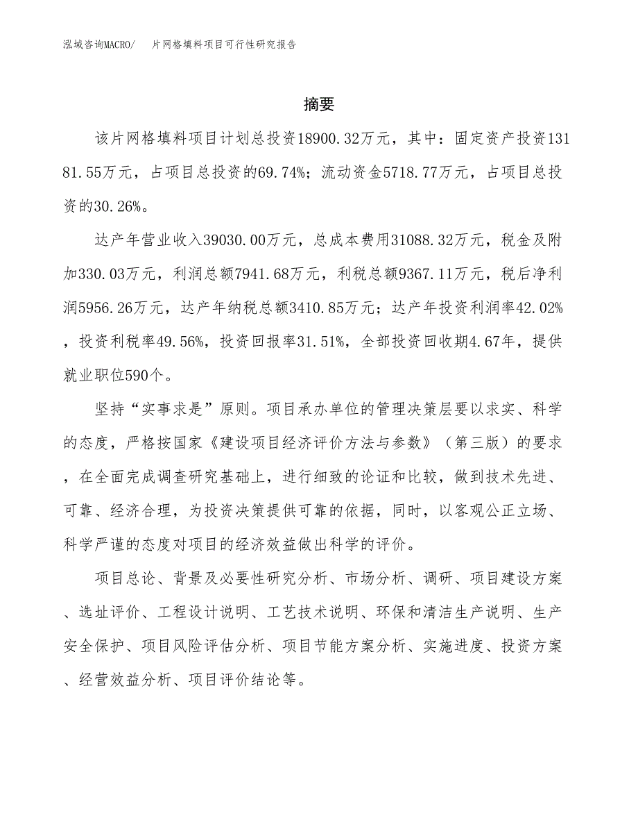 片网格填料项目可行性研究报告模板及范文.docx_第2页