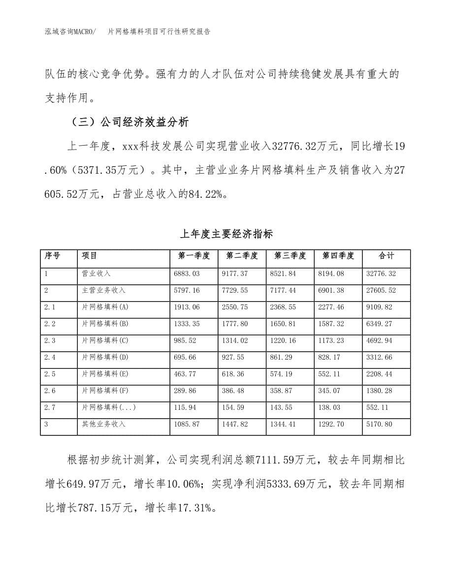 片网格填料项目可行性研究报告模板及范文.docx_第5页