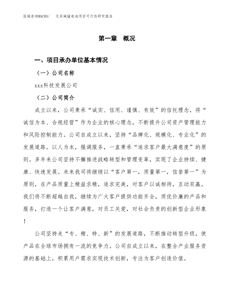 无汞碱锰电池项目可行性研究报告模板及范文.docx_第4页