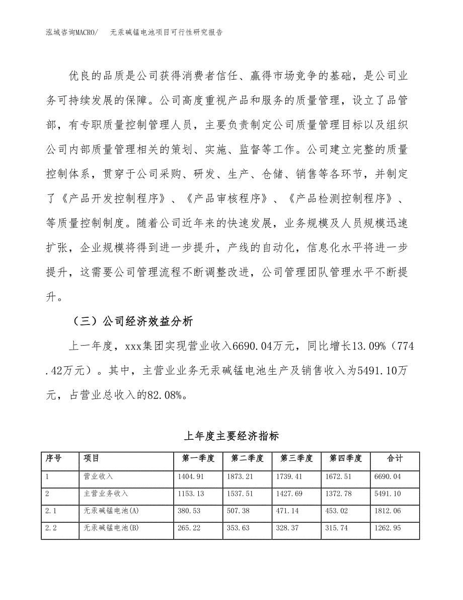 无汞碱锰电池项目可行性研究报告模板及范文.docx_第5页