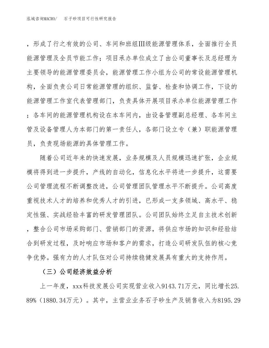 石子砂项目可行性研究报告模板及范文.docx_第5页