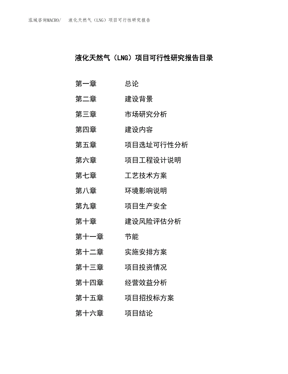 液化天然气（LNG）项目可行性研究报告模板及范文.docx_第3页