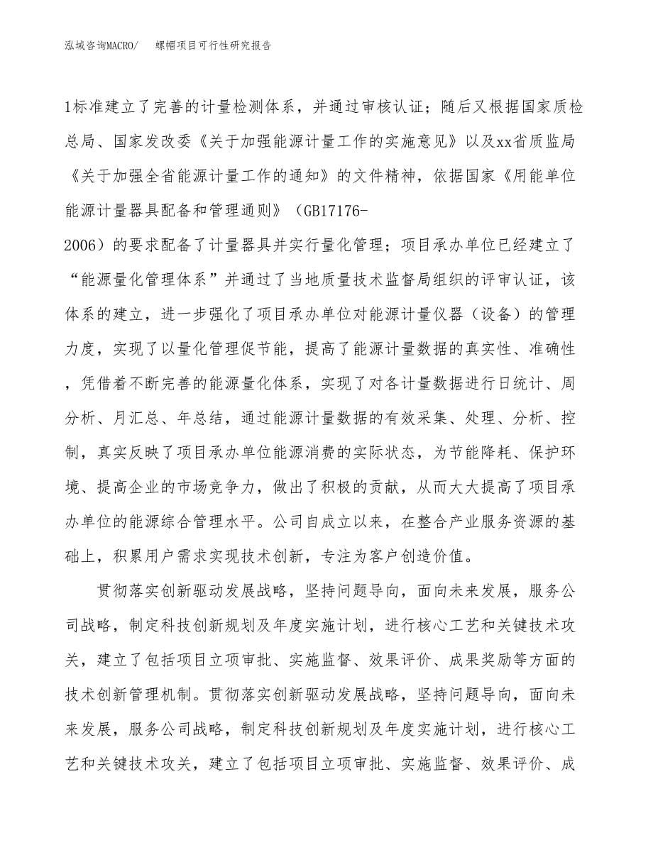 螺帽项目可行性研究报告模板及范文.docx_第5页