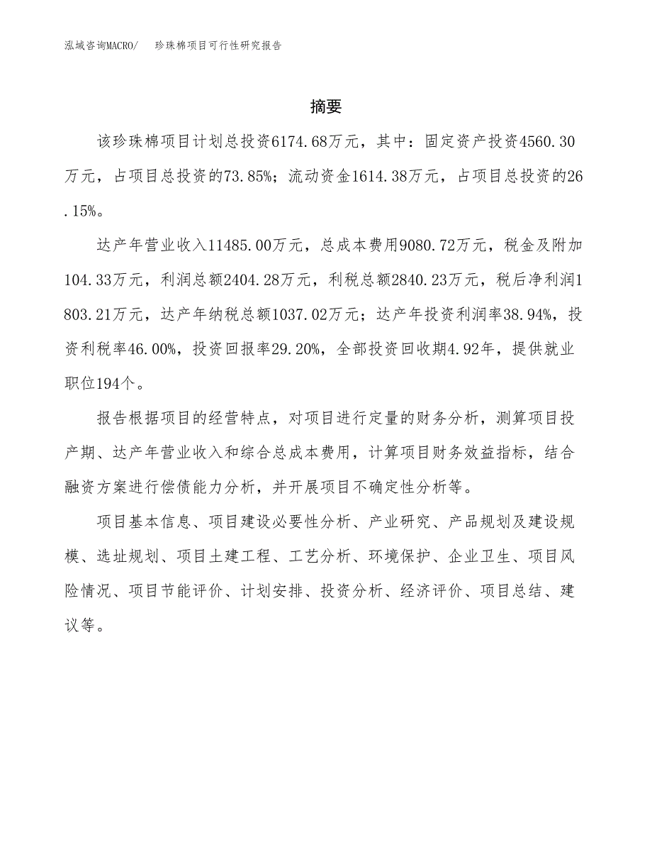 珍珠棉项目可行性研究报告模板及范文.docx_第2页