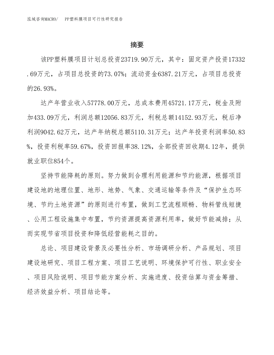 PP塑料膜项目可行性研究报告模板及范文.docx_第2页