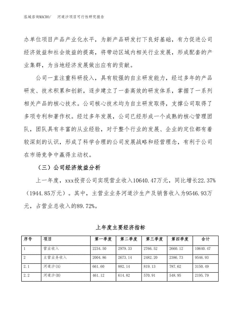 河道沙项目可行性研究报告模板及范文.docx_第5页