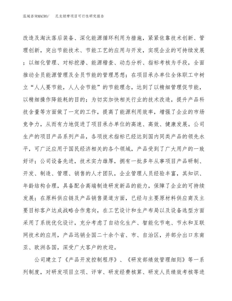 尼龙锁带项目可行性研究报告模板及范文.docx_第5页