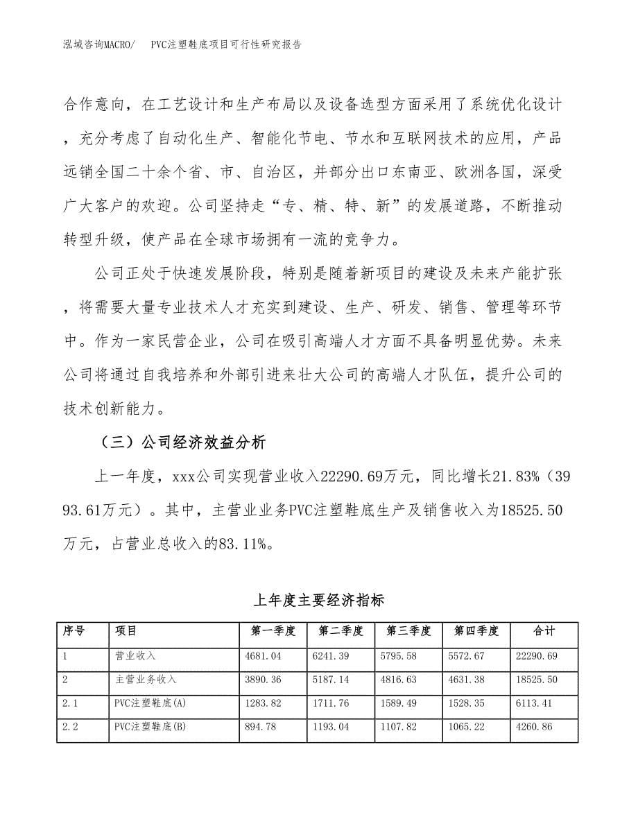 PVC注塑鞋底项目可行性研究报告模板及范文.docx_第5页